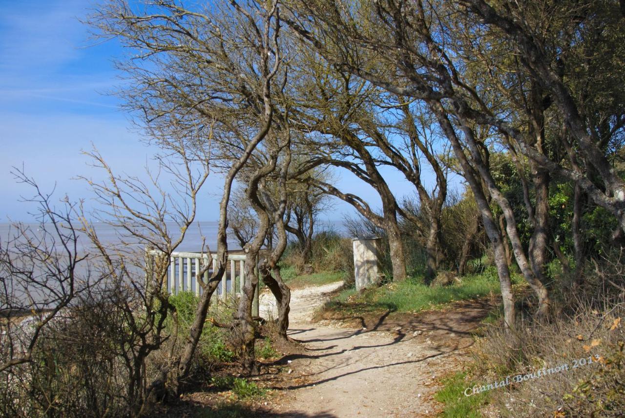 CHAMBRE D'HOTES Les Volets Bleus - VILLA L'OLIVIER côté mer Vaux-sur-Mer Esterno foto