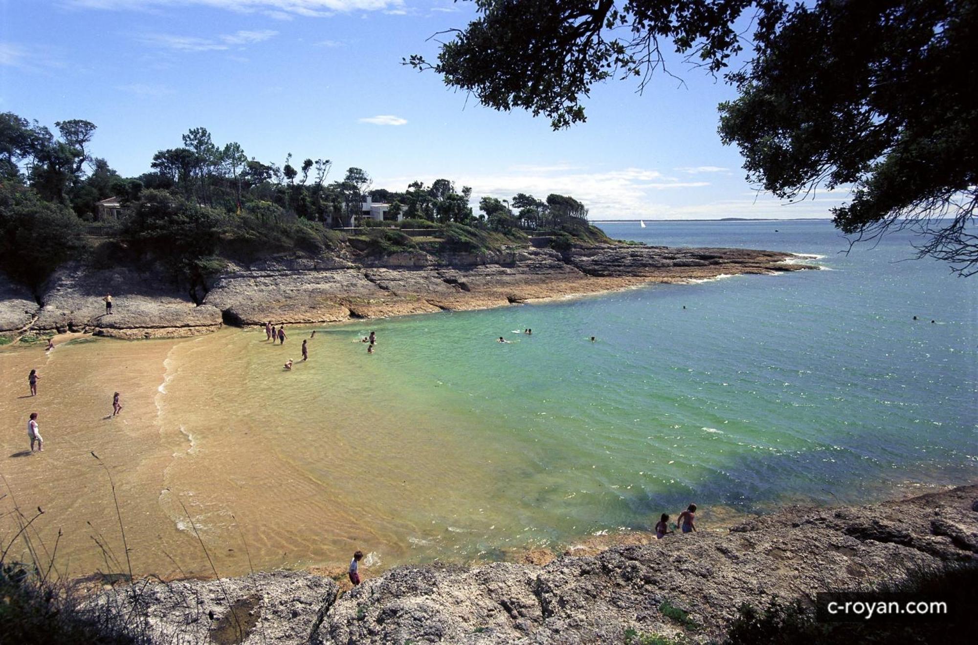 CHAMBRE D'HOTES Les Volets Bleus - VILLA L'OLIVIER côté mer Vaux-sur-Mer Esterno foto